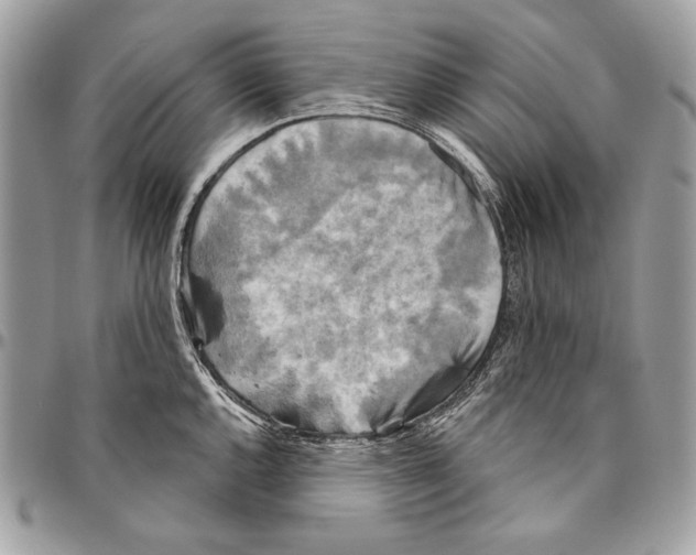 X0000094791144200712071222