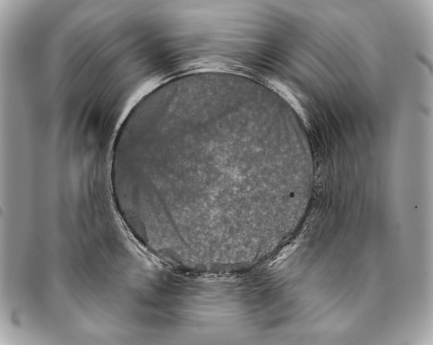 X0000094791146200712071222