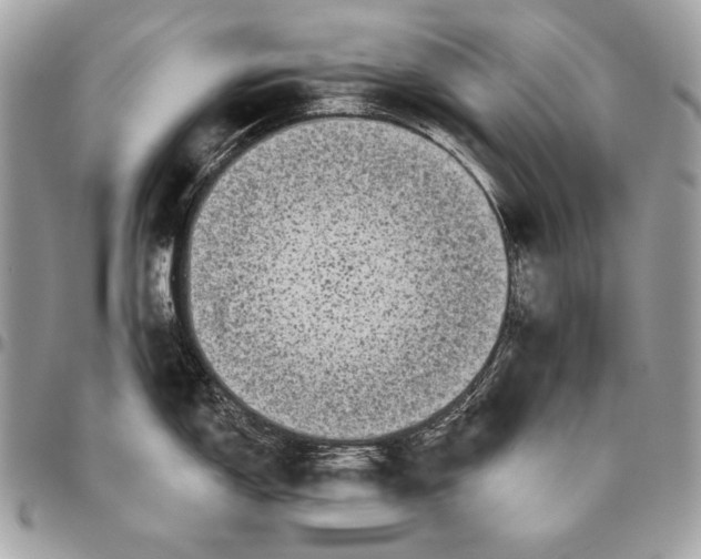 X0000094791150200712071222