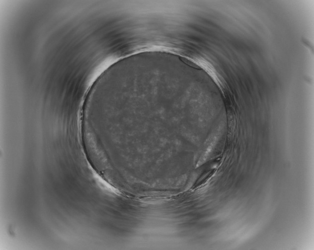 X0000094791151200712071222