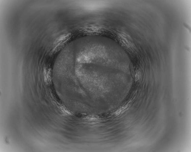 X0000094791156200712071222