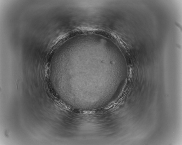 X0000094791157200712071221