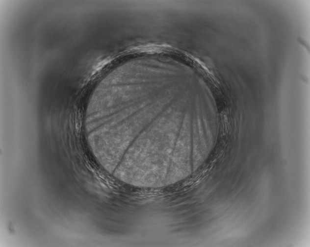 X0000094791158200712071221