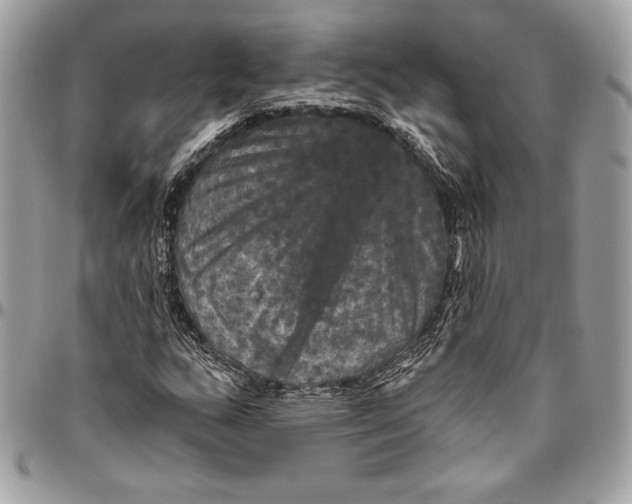 X0000094791159200712071221