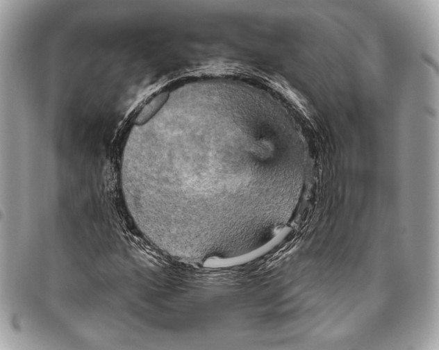 X0000094791160200712071221