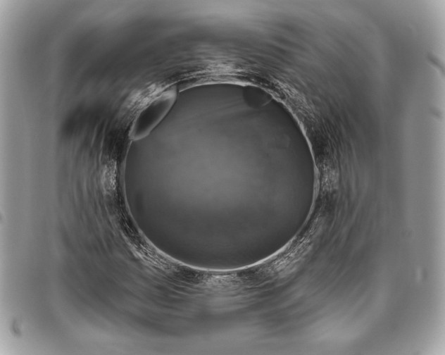 X0000094791161200712071221