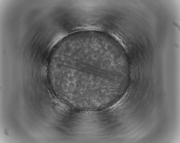 X0000094791163200712071221