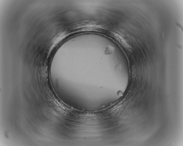 X0000094791164200712071221