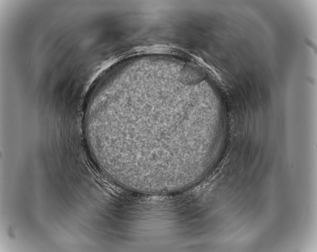 X0000094791166200712071221