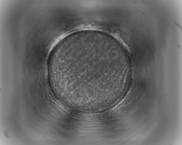 X0000094791167200712071221