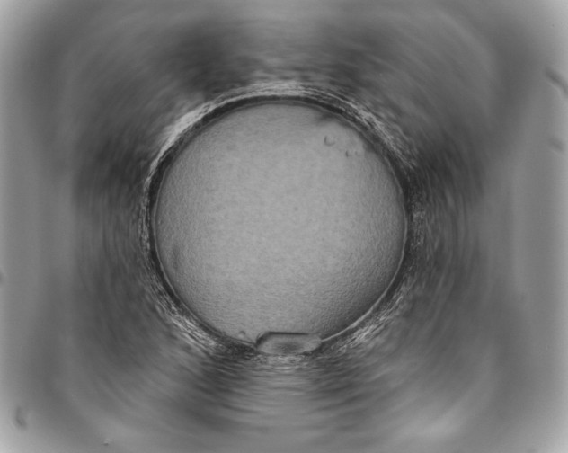 X0000094791168200712071221