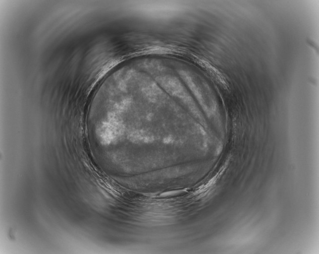 X0000094791170200712071221