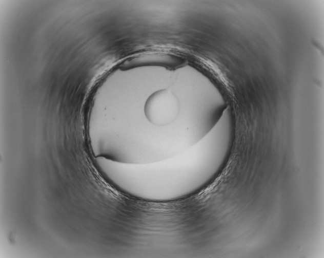 X0000094791172200712071221