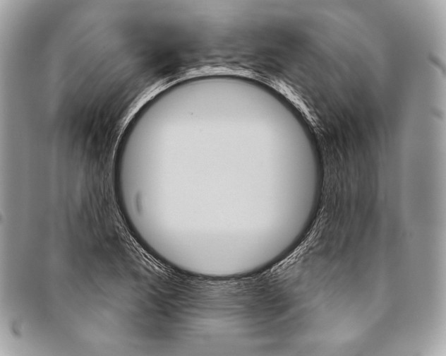 X0000094791173200712071221