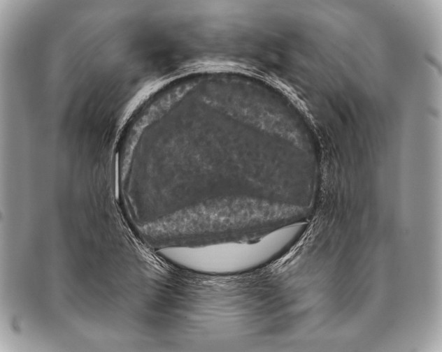 X0000094791175200712071221