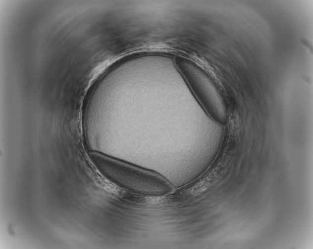 X0000094791176200712071221