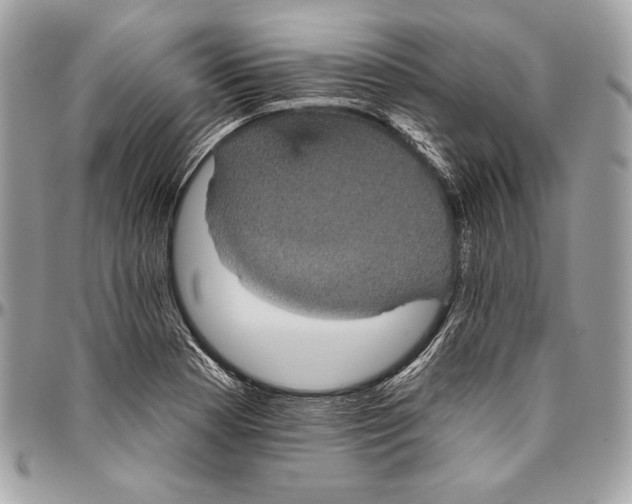 X0000094791177200712071221