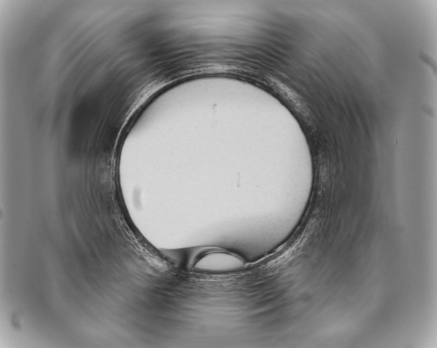 X0000094791178200712071221