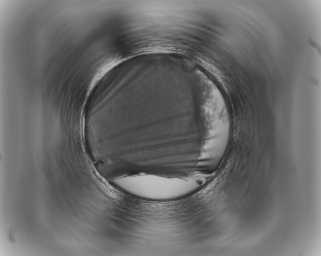 X0000094791179200712071221