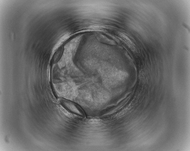 X0000094791180200712071221