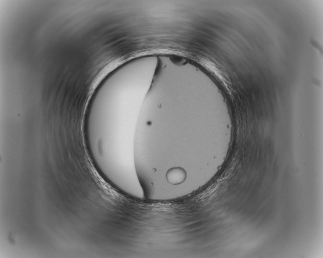 X0000094791181200712071221