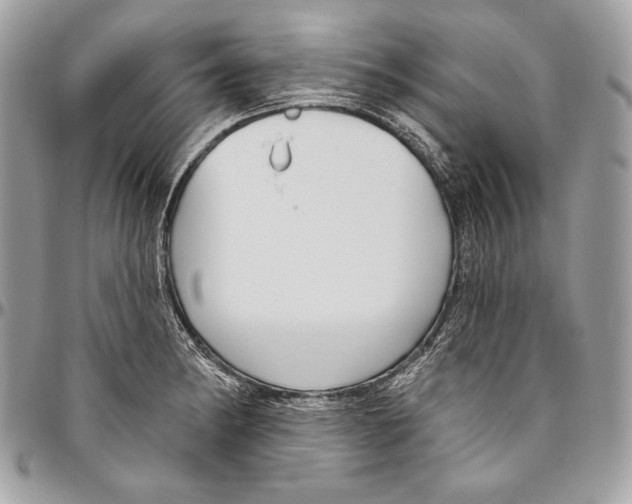 X0000094791182200712071221