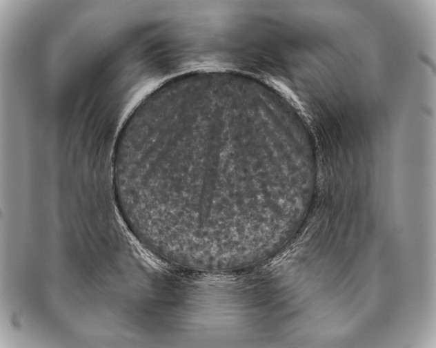 X0000094791183200712071221