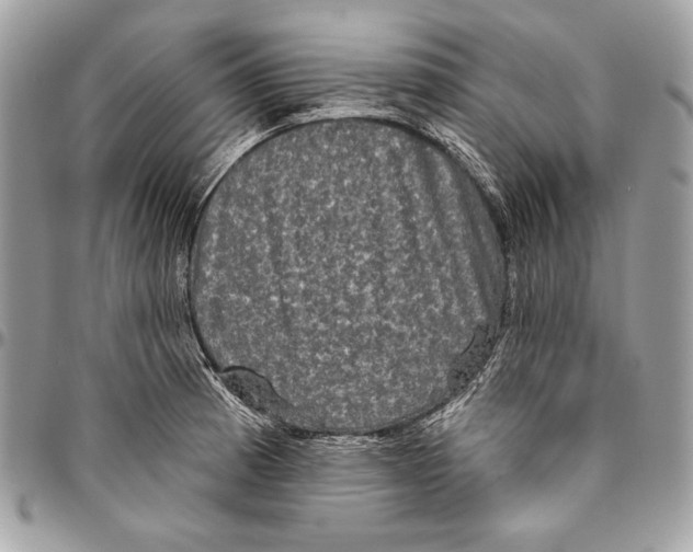 X0000094791185200712071221