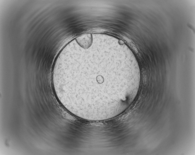 X0000094791186200712071221