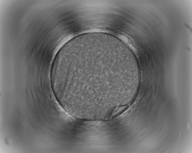 X0000094791189200712071221