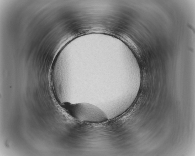 X0000094791190200712071221