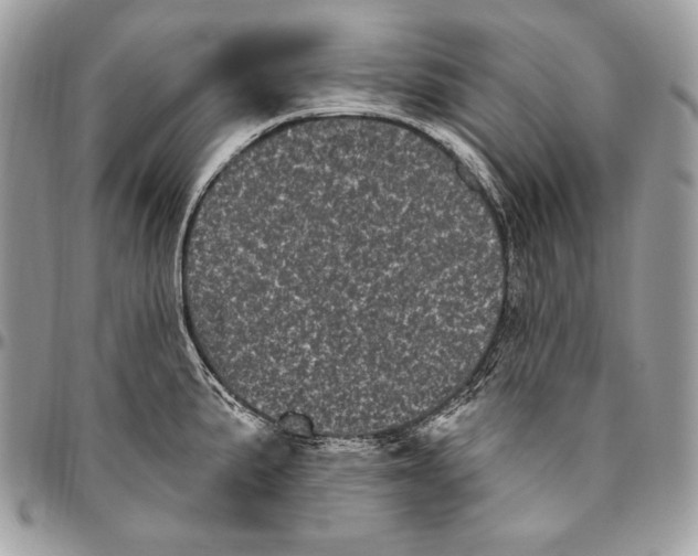 X0000094791191200712071221