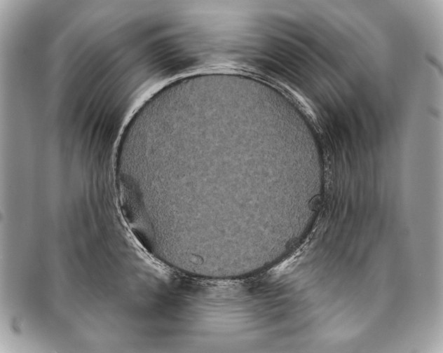 X0000094791192200712071221