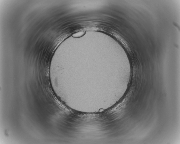 X0000094791193200712071221