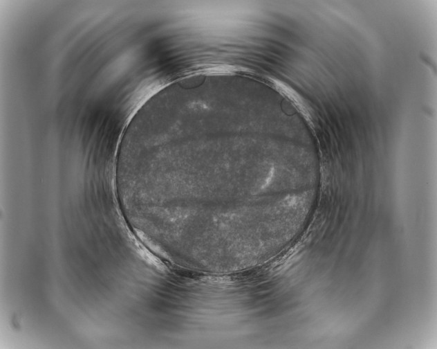 X0000094791194200712071221