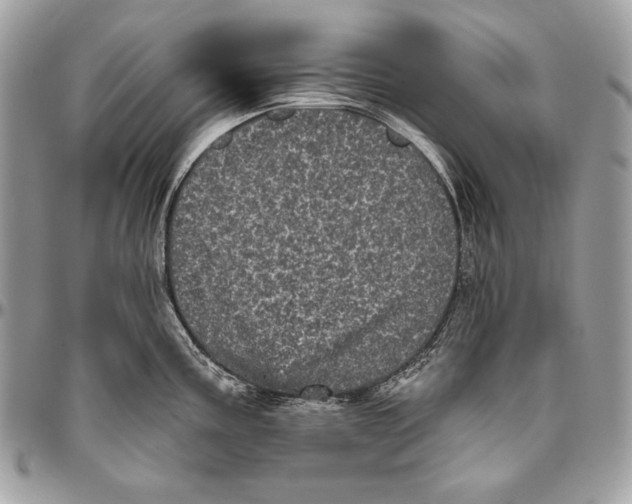 X0000094791195200712071221