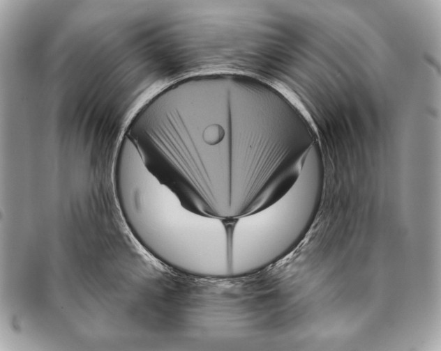 X0000094791197200712071221