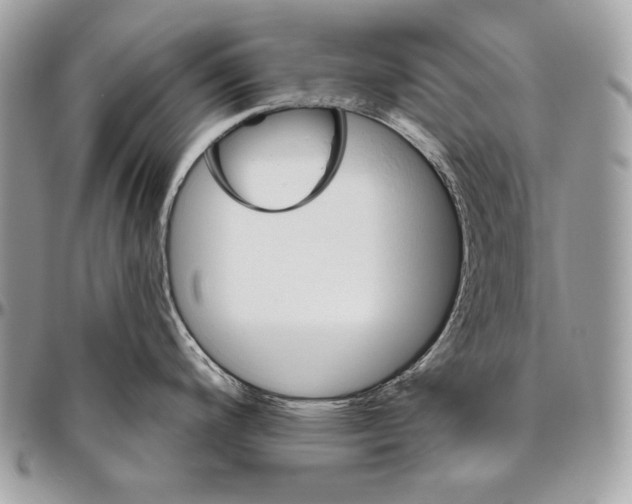 X0000094791200200712071221