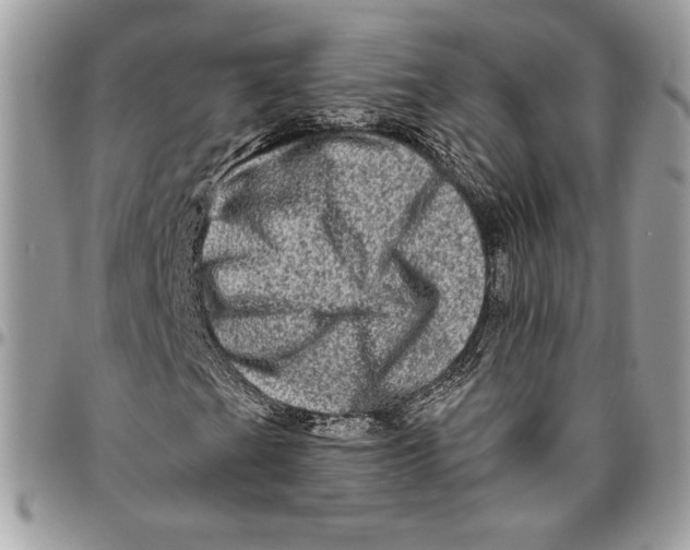 X0000094791201200712071220