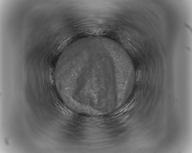 X0000094791202200712071220