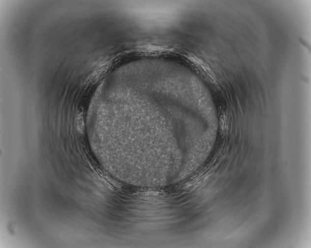 X0000094791204200712071220