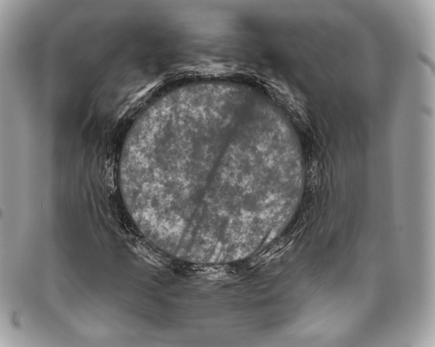 X0000094791205200712071220