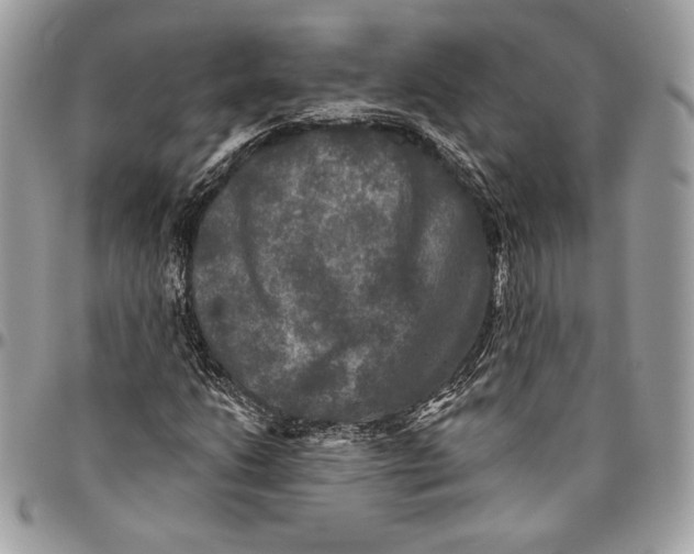 X0000094791206200712071220