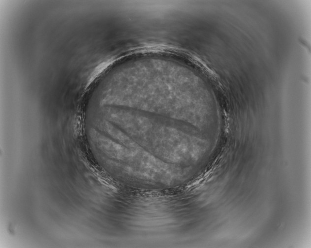 X0000094791208200712071220