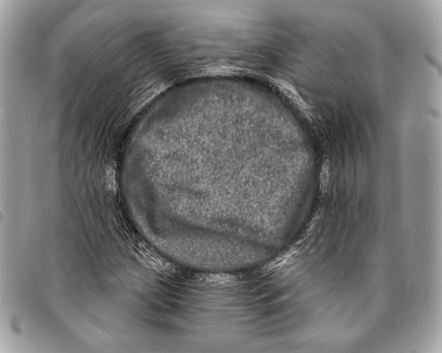 X0000094791209200712071220