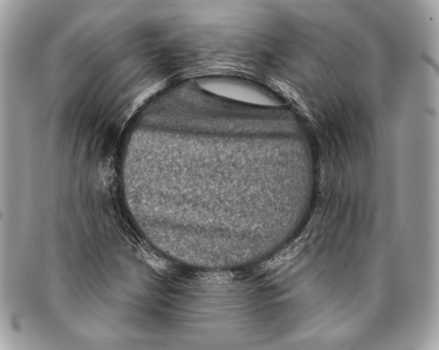 X0000094791210200712071220