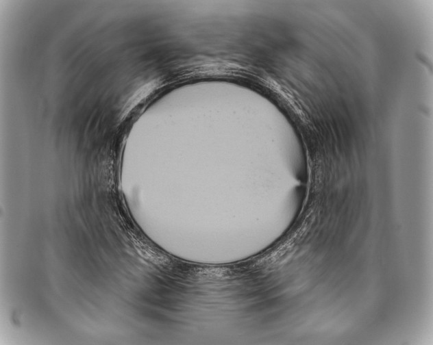 X0000094791211200712071220