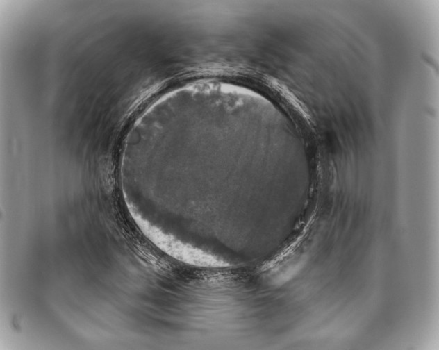 X0000094791213200712071220