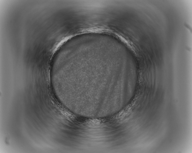 X0000094791214200712071220