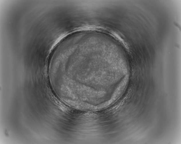 X0000094791216200712071220